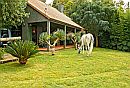 Casas da Lomba